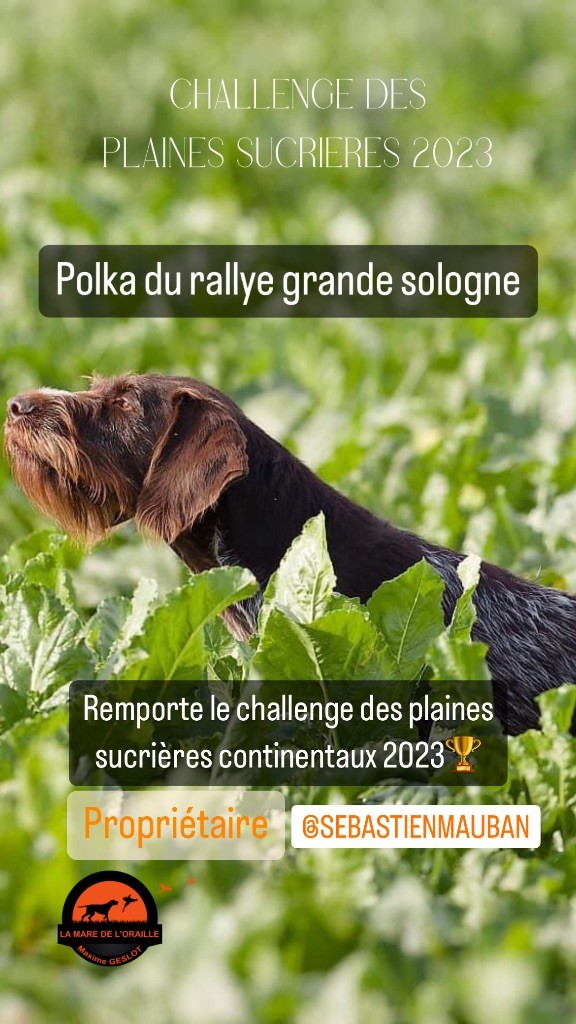 de la Mare de l’Oraille - Challenge des plaines sucrières continentaux 2023