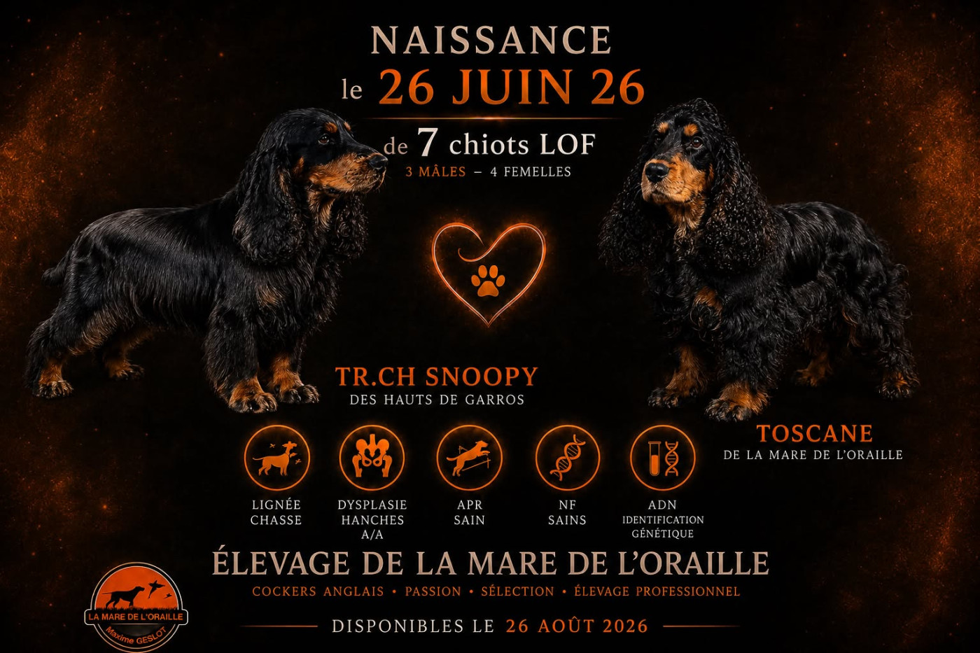 Chiots à réserver