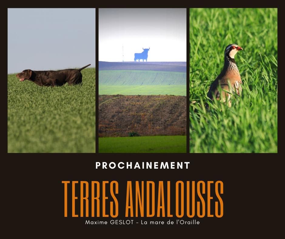de la Mare de l’Oraille - andalousie 2021