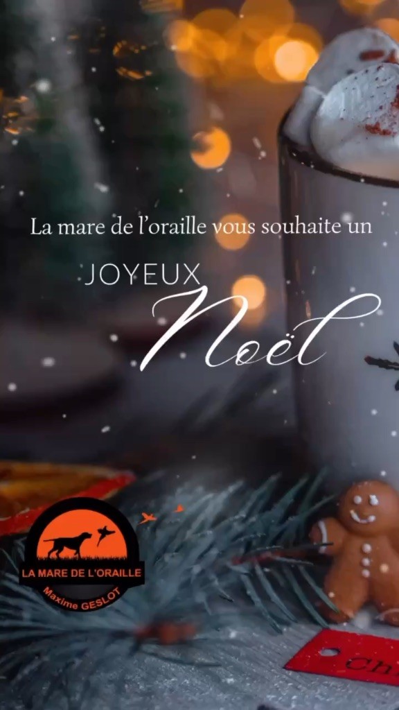 Joyeuses fêtes 